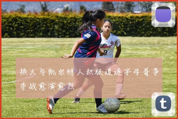 热火与凯尔特人积极追逐字母哥争夺战愈演愈烈