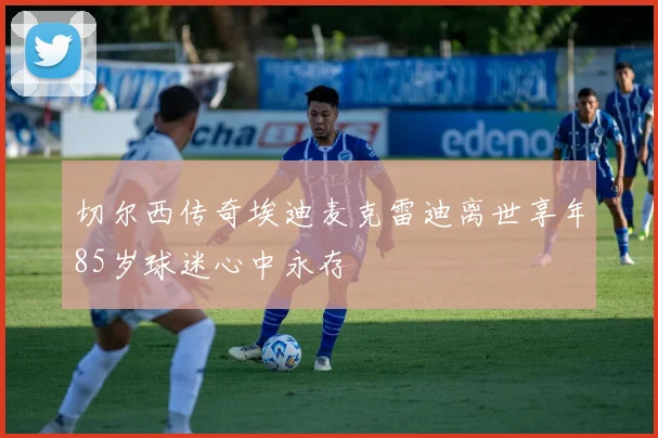 切尔西传奇埃迪麦克雷迪离世享年85岁球迷心中永存
